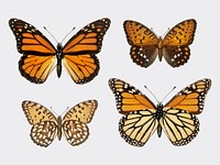Monarch Butterfly (Danais Archippus) from Moths and butterflies of the United States (1900) by Sherman F. Denton (1856-1937). Digitally enhanced by rawpixel.