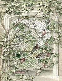 Aviary with fourteen birds (ca. 1720&ndash;1792) painting in high resolution by Aert Schouman. Original from The Rijksmuseum. Digitally enhanced by rawpixel.