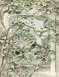 Aviary with fourteen birds (ca. 1720–1792) painting in high resolution by Aert Schouman. Original from The Rijksmuseum. Digitally enhanced by rawpixel.