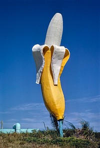 Banana Water Slide banana statue, vertical, Virginia Beach, Virginia (1985) photography in high resolution by John Margolies. Original from the Library of Congress. Digitally enhanced by rawpixel.