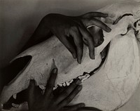 Georgia O&rsquo;Keeffe &ndash; Hands and Horse Skull (1931) by <a href="https://www.rawpixel.com/search/Alfred%20Stieglitz?sort=curated&amp;page=1&amp;topic_group=_my_topics">Alfred Stieglitz</a>. Original from The Art Institute of Chicago. Digitally enhanced by rawpixel.