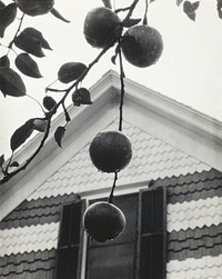 Gable and Apples (1922) by Alfred Stieglitz. Original from The Art Institute of Chicago. Digitally enhanced by rawpixel.