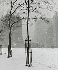 Tree in Snow, New York City (1900&ndash;1902) by Alfred Stieglitz. Original from The Art Institute of Chicago. Digitally enhanced by rawpixel.