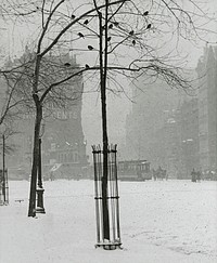 Tree in Snow, New York City (1900–1902) by Alfred Stieglitz. Original from The Art Institute of Chicago. Digitally enhanced by rawpixel.