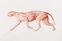 Leopard Body, Lateral View (First of Five Studies of Another Large Cat), (1795&ndash;1806) drawing in high resolution by George Stubbs. Original from The Yale University Art Gallery. Digitally enhanced by rawpixel.