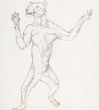 Tiger Body, Standing in Human Posture (1795–1806) drawing in high resolution by George Stubbs. Original from The Yale University Art Gallery. Digitally enhanced by rawpixel.