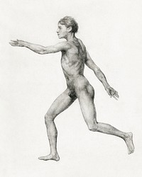 Human Figure, Lateral View, Undissected (Finished Study for Table VIII), (1795&ndash;1806) drawing in high resolution by George Stubbs. Original from The Yale University Art Gallery. Digitally enhanced by rawpixel.