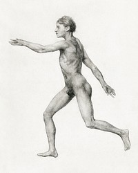 Human Figure, Lateral View, Undissected (Finished Study for Table VIII), (1795–1806) drawing in high resolution by George Stubbs. Original from The Yale University Art Gallery. Digitally enhanced by rawpixel.