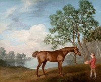Pumpkin with a Stable-lad (1774) painting in high resolution by George Stubbs. Original from The Yale University Art Gallery. Digitally enhanced by rawpixel.