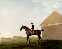 Turf, with Jockey up, at Newmarket (ca. 1766) painting in high resolution by George Stubbs. Original from The Yale University Art Gallery. Digitally enhanced by rawpixel.