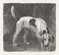 Dog: A Foxhound on the Scent (1788) print in high resolution by George Stubbs. Original from The Yale University Art Gallery. Digitally enhanced by rawpixel.