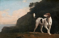 Foxhound (1760) painting in high resolution by George Stubbs. Original from The Yale University Art Gallery. Digitally enhanced by rawpixel.