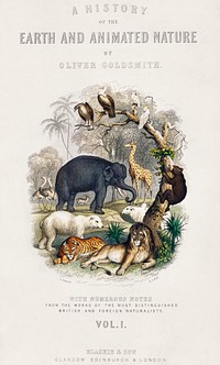 Cover of A history of the earth and animated nature (1820) by <a href="https://www.rawpixel.com/search/Oliver%20Goldsmith?sort=curated&amp;page=1">Oliver Goldsmith</a> (1730-1774). Digitally enhanced from our own original edition. 