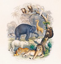 Cover of A history of the earth and animated nature (1820) by <a href="https://www.rawpixel.com/search/Oliver%20Goldsmith?sort=curated&amp;page=1">Oliver Goldsmith </a>(1730-1774). Digitally enhanced from our own original edition. 