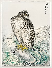 Japanese Golden Eagle and Dark Blue Sea illustration. Digitally enhanced from our own original edition of Pictorial Monograph of Birds (1885) by Numata Kashu (1838-1901).