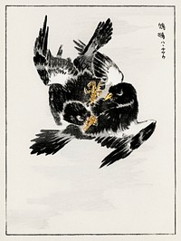 Japanese Jungle Nightjar illustration. Digitally enhanced from our own original edition of Pictorial Monograph of Birds (1885) by Numata Kashu (1838-1901).