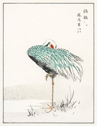 White-naped Crane and New Years Fern illustration. Digitally enhanced from our own original edition of Pictorial Monograph of Birds (1885) by Numata Kashu (1838-1901).