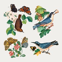 Vintage birds, butterflies, botanical sticker vector set, remixed from artworks by James Bolton
