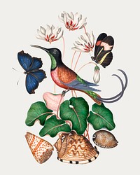 Bird, butterfly, botanical flower sticker vector, remixed from artworks by James Bolton