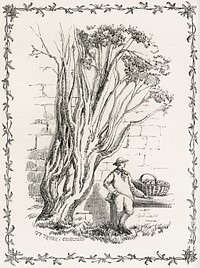 Cultivation of the Ivy from The Ivy, a Monograph (1872).  Digitally enhanced from our own original edition of by Shirley Hibberd (1825–1890).