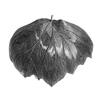 Vintage leaf illustration