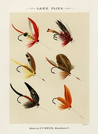 Lake Flies.  Digitally enhanced from our own original 1892 edition of Favorite Flies and Their Histories by Mary Orvis Marbury.