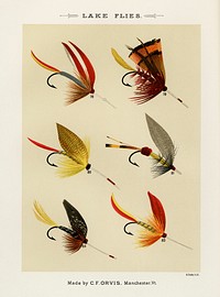Lake Flies.  Digitally enhanced from our own original 1892 edition of Favorite Flies and Their Histories by Mary Orvis Marbury.