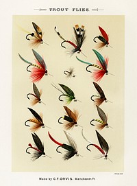 Trout Flies.  Digitally enhanced from our own original 1892 edition of Favorite Flies and Their Histories by Mary Orvis Marbury.
