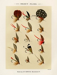 Trout Flies.  Digitally enhanced from our own original 1892 edition of Favorite Flies and Their Histories by Mary Orvis Marbury.