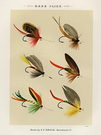 Bass Flies.  Digitally enhanced from our own original 1892 edition of Favorite Flies and Their Histories by Mary Orvis Marbury.