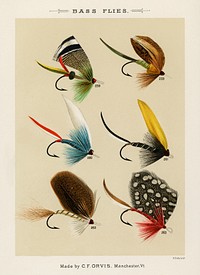 Bass Flies.  Digitally enhanced from our own original 1892 edition of Favorite Flies and Their Histories by Mary Orvis Marbury.