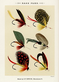 Bass Flies. Digitally enhanced from our own original 1892 edition of Favorite Flies and Their Histories by Mary Orvis Marbury.