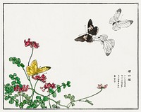 Butterflies and flower illustration from Churui Gafu (1910) by <a href="https://www.rawpixel.com/search/Morimoto%20Toko?sort=curated&amp;freecc0=1&amp;page=1">Morimoto Toko</a>. Digitally enhanced from our own original edition. 