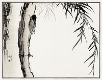 Cicada illustration from Churui Gafu (1910) by Morimoto Toko. Digitally enhanced from our own original edition. 