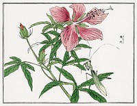Flower illustration from Churui Gafu (1910) by <a href="https://www.rawpixel.com/search/Morimoto%20Toko?sort=curated&amp;freecc0=1&amp;page=1">Morimoto Toko</a>. Digitally enhanced from our own original edition. 