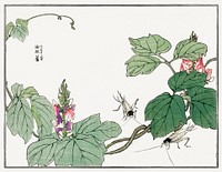 Leaf and flower illustration from Churui Gafu (1910) by <a href="https://www.rawpixel.com/search/Morimoto%20Toko?sort=curated&amp;freecc0=1&amp;page=1">Morimoto Toko</a>. Digitally enhanced from our own original edition. 