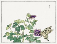 Butterfly with flower illustration from Churui Gafu (1910) by <a href="https://www.rawpixel.com/search/Morimoto%20Toko?sort=curated&amp;freecc0=1&amp;page=1">Morimoto Toko</a>. Digitally enhanced from our own original edition. 