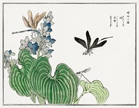 Dragonfly on a flower illustration from Churui Gafu (1910) by <a href="https://www.rawpixel.com/search/Morimoto%20Toko?sort=curated&amp;freecc0=1&amp;page=1">Morimoto Toko</a>. Digitally enhanced from our own original edition. 