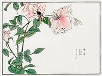 Bee and Flower illustration from Churui Gafu (1910) by Morimoto Toko. Digitally enhanced from our own original edition. 