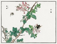 Horsefly illustration from Churui Gafu (1910) by <a href="https://www.rawpixel.com/search/Morimoto%20Toko?sort=curated&amp;freecc0=1&amp;page=1">Morimoto Toko</a>. Digitally enhanced from our own original edition. 