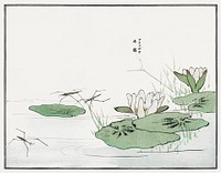 Water striders on a pond illustration from Churui Gafu (1910) by <a href="https://www.rawpixel.com/search/Morimoto%20Toko?sort=curated&amp;freecc0=1&amp;page=1">Morimoto Toko</a>. Digitally enhanced from our own original edition. 