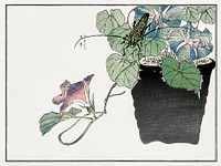 Japanese paper-cutter beetle illustration from Churui Gafu (1910) by <a href="https://www.rawpixel.com/search/Morimoto%20Toko?sort=curated&amp;freecc0=1&amp;page=1">Morimoto Toko</a>. Digitally enhanced from our own original edition. 