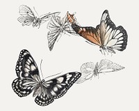 Monarch butterfly sticker, vintage illustration vector, remix from the artwork of Morimoto Toko