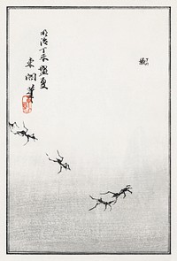 Ants trail illustration from Churui Gafu (1910) by <a href="https://www.rawpixel.com/search/Morimoto%20Toko?sort=curated&amp;freecc0=1&amp;page=1">Morimoto Toko</a>. Digitally enhanced from our own original edition. 