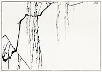 Tree branches. Illustration from Seitei Kacho Gafu (1890&ndash;1891) by <a href="https://www.rawpixel.com/search/Wantanabe%20Seitei?sort=curated&amp;freecc0=1&amp;page=1">Wantanabe</a><a href="https://www.rawpixel.com/search/Wantanabe%20Seitei?sort=curated&amp;freecc0=1&amp;page=1"> Seitei</a>, a prominent Kacho-ga artist. Digitally enhanced from our own original edition. 