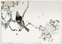 Perched Japanese swallow. Illustration from Seitei Kacho Gafu (1890&ndash;1891) by <a href="https://www.rawpixel.com/search/Wantanabe%20Seitei?sort=curated&amp;freecc0=1&amp;page=1">Wantanabe</a><a href="https://www.rawpixel.com/search/Wantanabe%20Seitei?sort=curated&amp;freecc0=1&amp;page=1"> Seitei</a>, a prominent Kacho-ga artist. Digitally enhanced from our own original edition. 