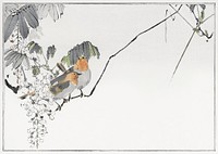 Two sparrows perched on a branch. Illustration from Seitei Kacho Gafu (1890&ndash;1891) by <a href="https://www.rawpixel.com/search/Wantanabe%20Seitei?sort=curated&amp;freecc0=1&amp;page=1">Wantanabe</a><a href="https://www.rawpixel.com/search/Wantanabe%20Seitei?sort=curated&amp;freecc0=1&amp;page=1"> Seitei</a>, a prominent Kacho-ga artist. Digitally enhanced from our own original edition. 