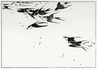 Flying magpies, illustration from Seitei Kacho Gafu (1890&ndash;1891) by <a href="https://www.rawpixel.com/search/Wantanabe%20Seitei?sort=curated&amp;freecc0=1&amp;page=1">Wantanabe</a><a href="https://www.rawpixel.com/search/Wantanabe%20Seitei?sort=curated&amp;freecc0=1&amp;page=1"> Seitei</a>, a prominent Kacho-ga artist. Digitally enhanced from our own original edition. 