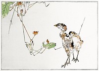 Wild ducklings illustration from Seitei Kacho Gafu (1890&ndash;1891) by Wantanabe Seitei, a prominent Kacho-ga artist. Digitally enhanced from our own original edition. 
