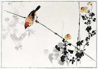 Japanese swallow bird, illustration from Seitei Kacho Gafu (1890&ndash;1891) by Wantanabe Seitei, a prominent Kacho-ga artist. Digitally enhanced from our own original edition. 